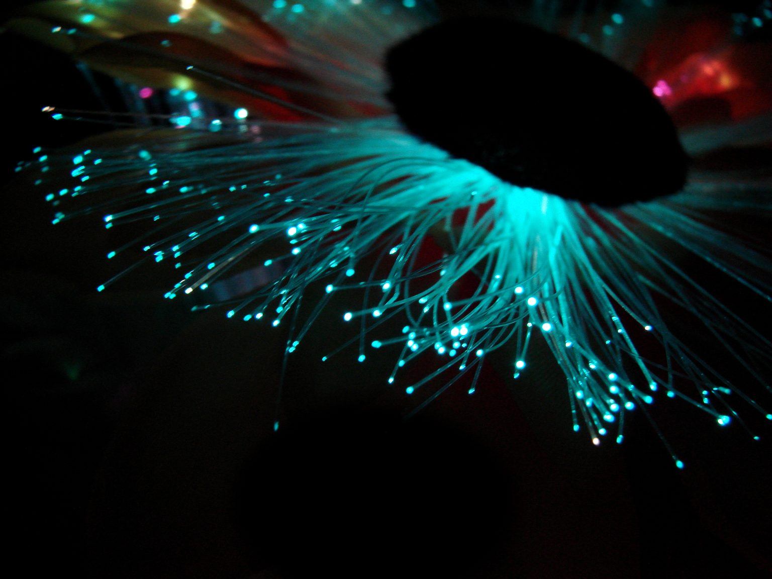 首页 杭州华芯光电有限公司